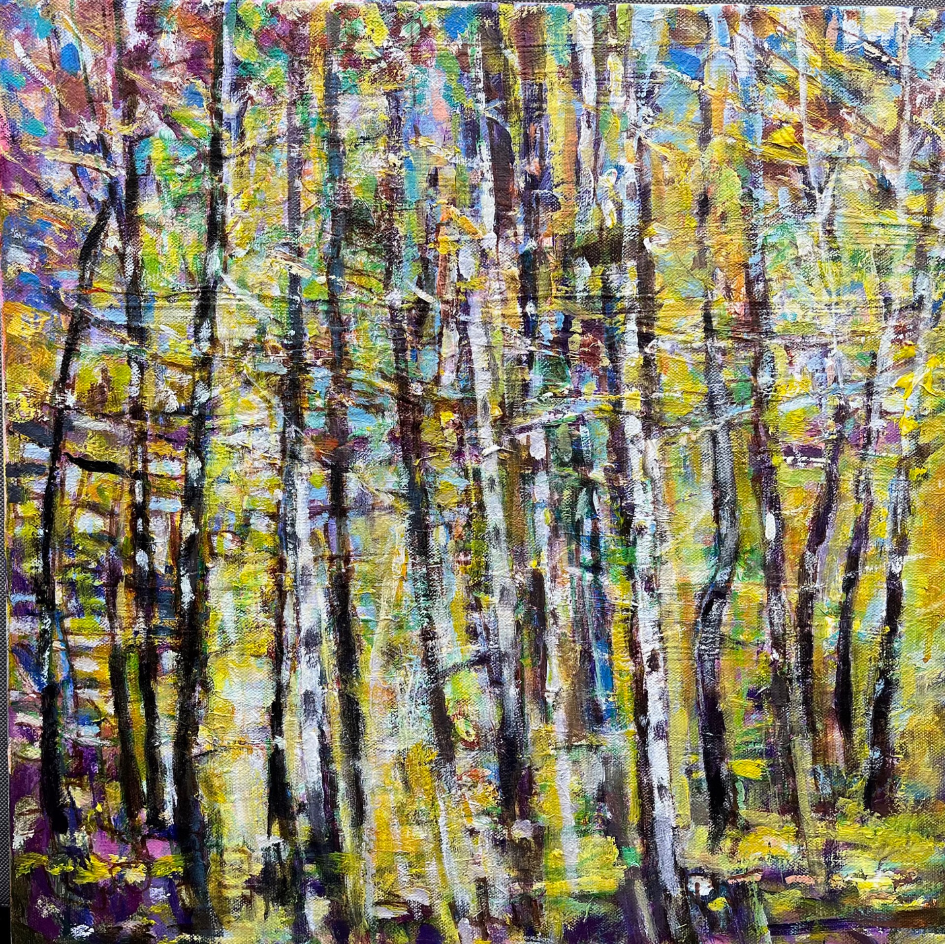 Birkeskov 1 50x50 cm 2026