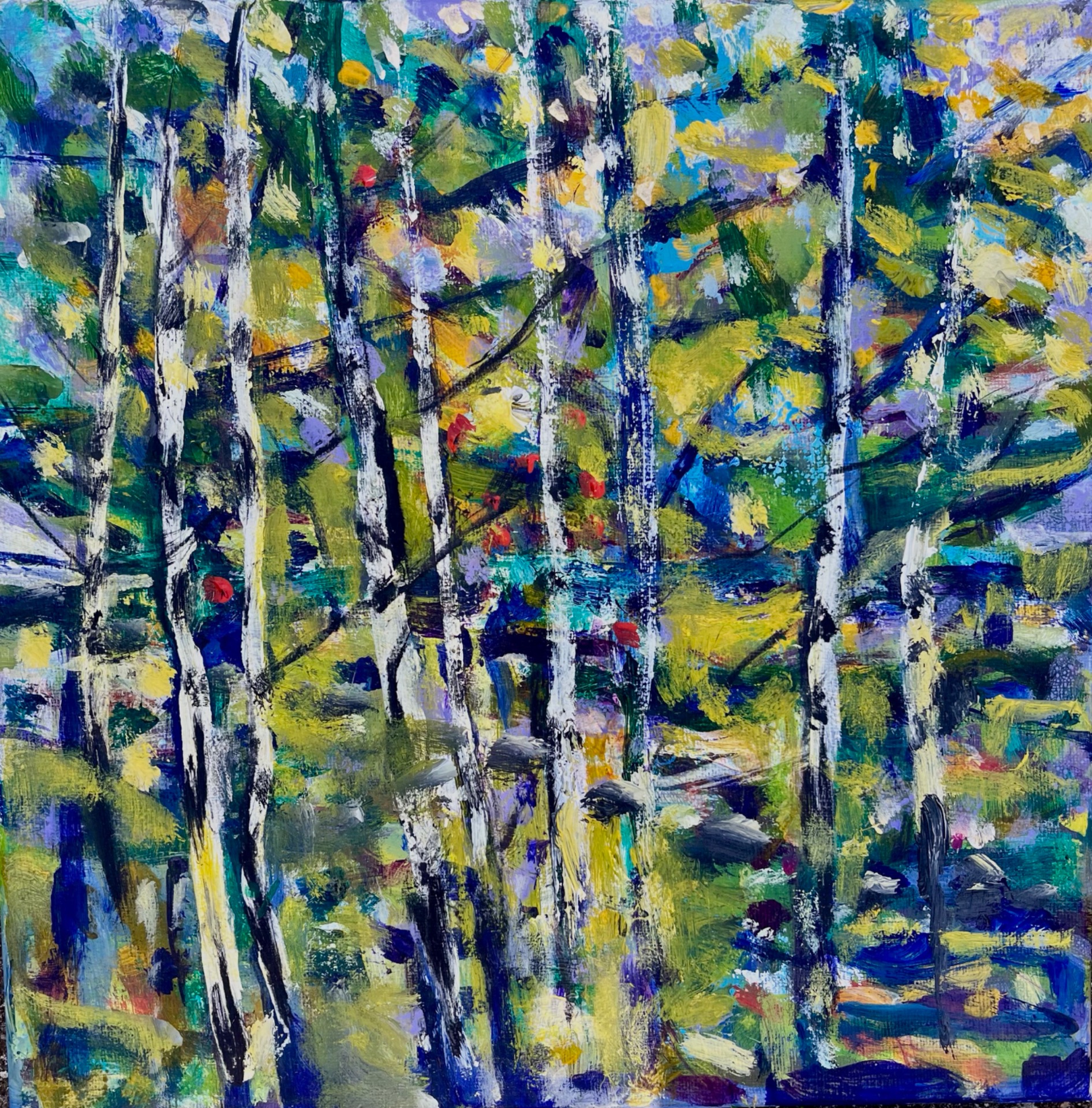 Birk 30x30 cm 3000,-kr
